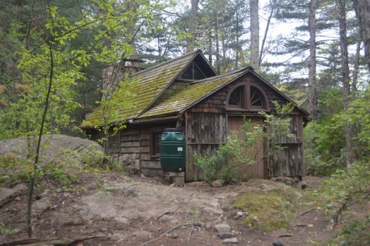 Cronk's Rocky Woodland, Wellesley, May 2017