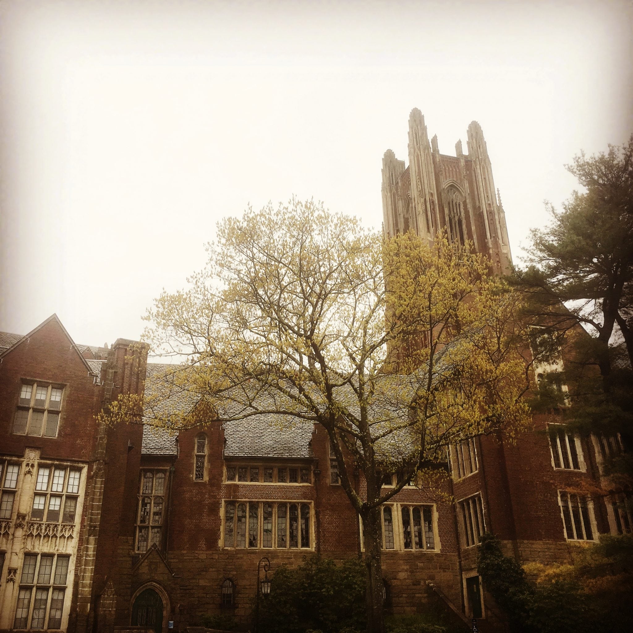 Galen Tower Wellesley College