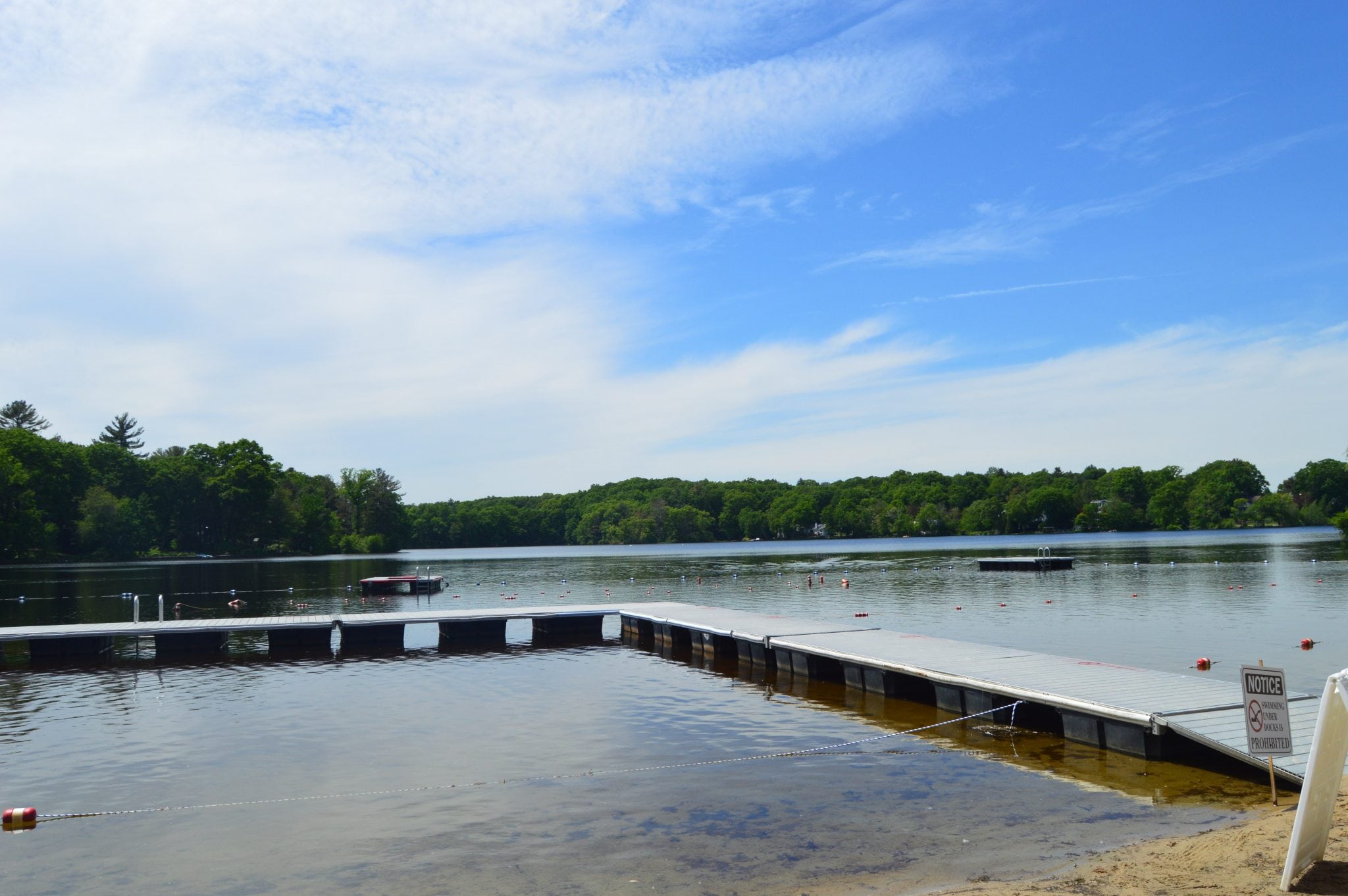 Wellesley Morses Pond