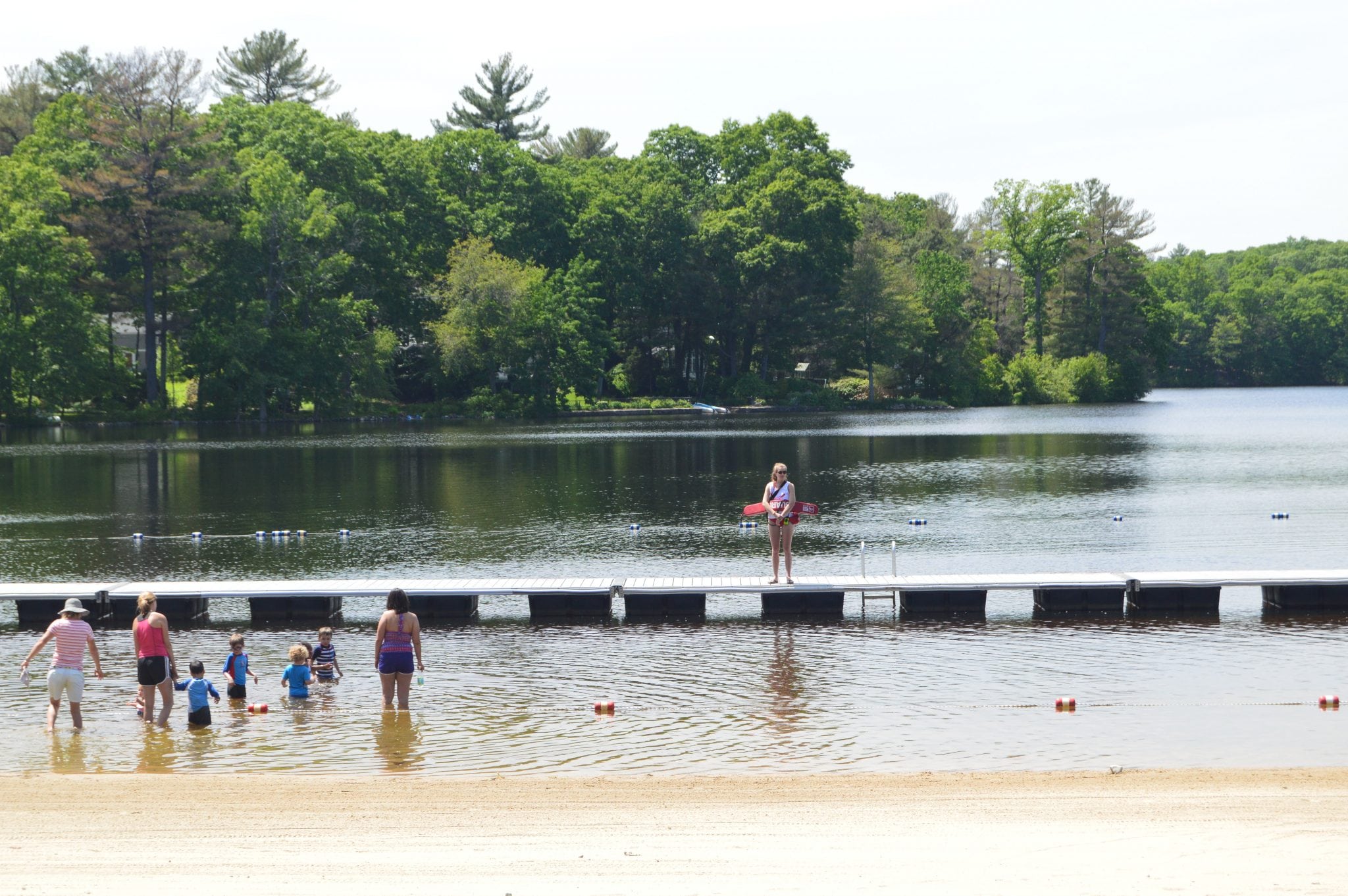 Wellesley Morses Pond