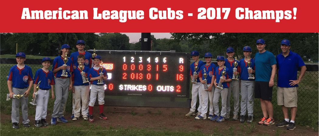 Wellesley Little League 2017