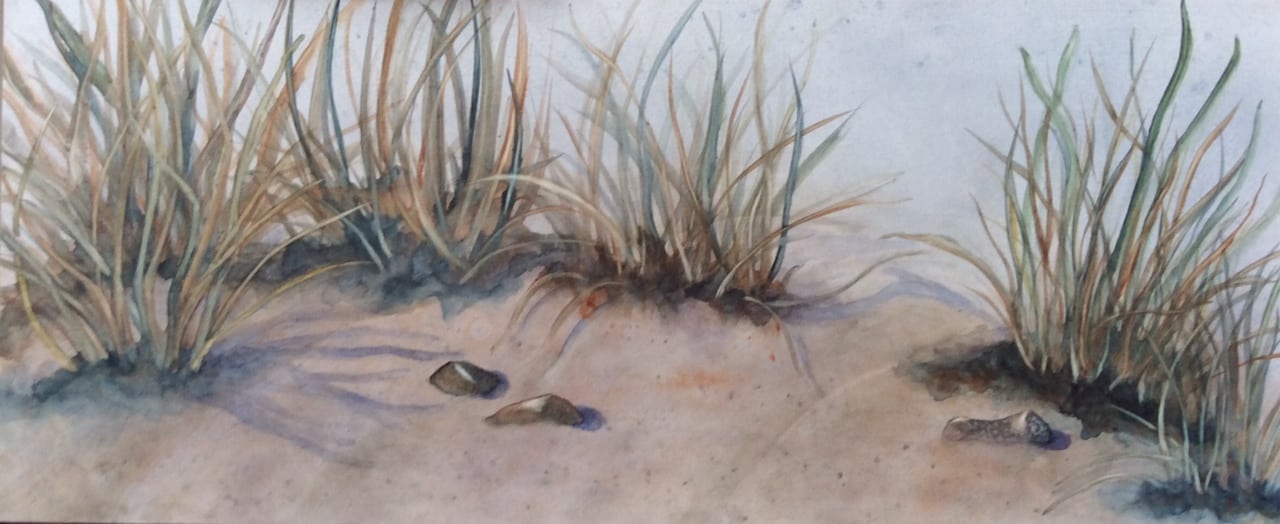 "Beach Grass", watercolor on aquaboard by Yvonne Unger,