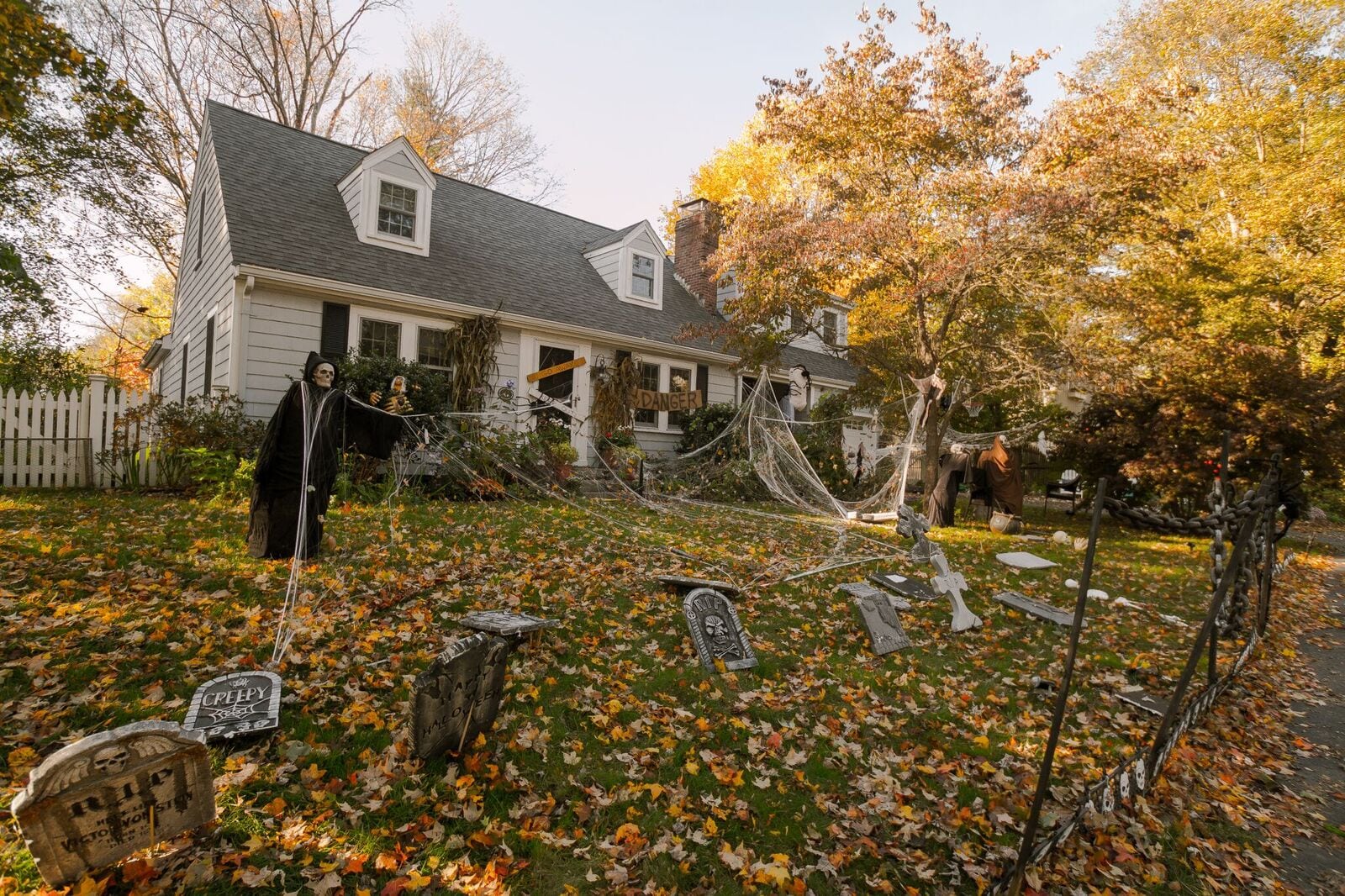 Wellesley Halloween, Judges Choice