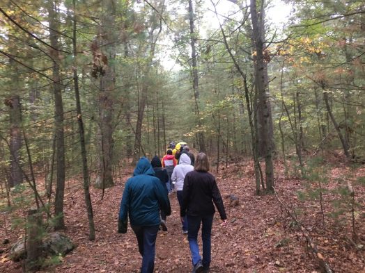 Beard Trail Wellesley hike