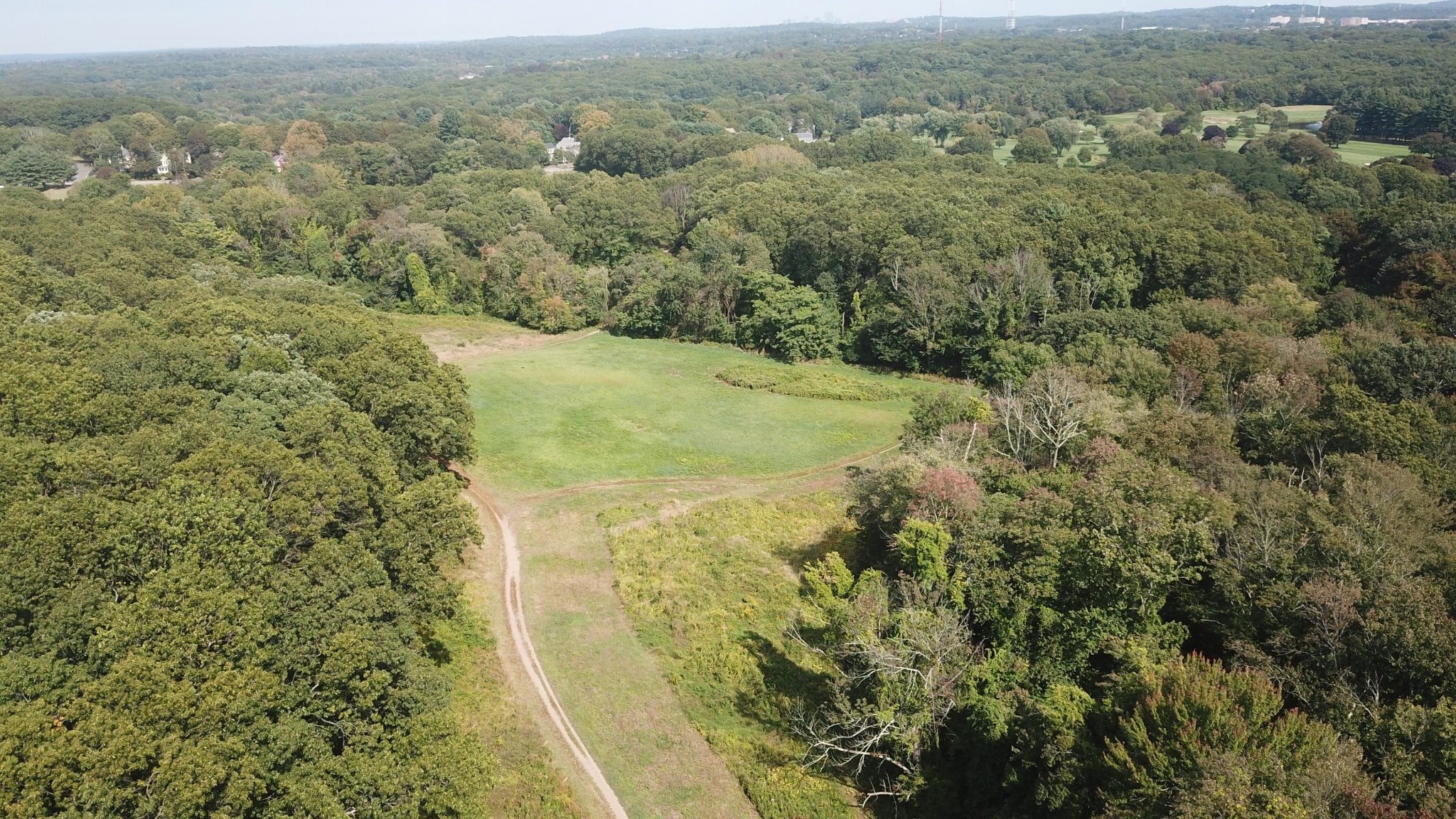 Centennial Reservation, Wellesley