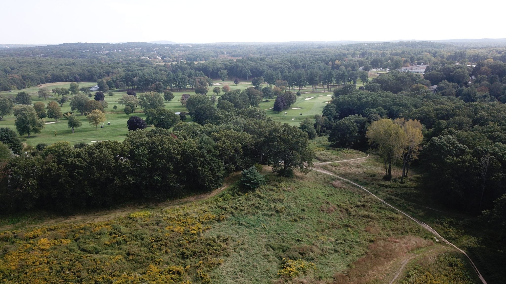 Centennial Reservation, Wellesley