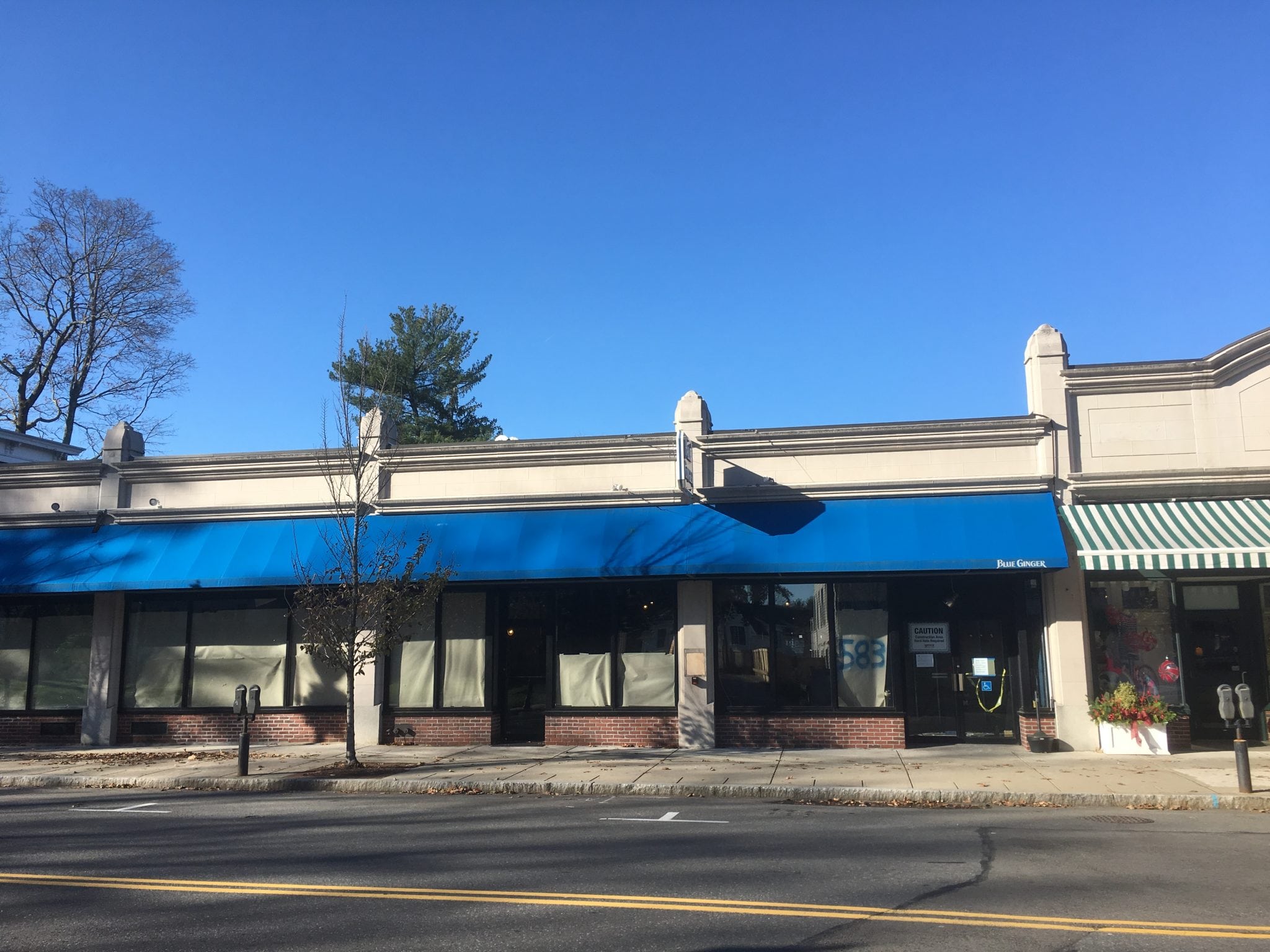blue ginger construction