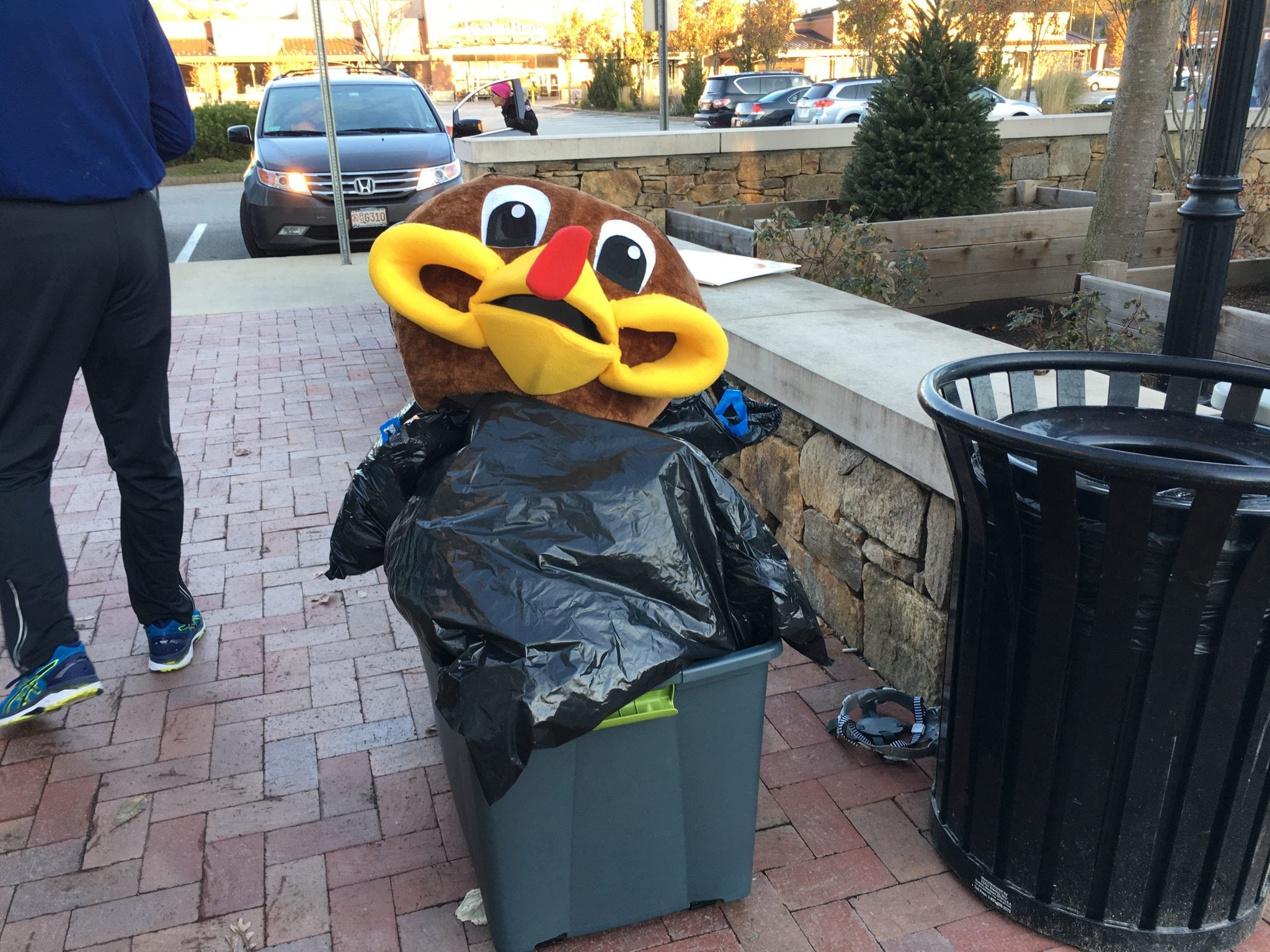 Wellesley Turkey Trot
