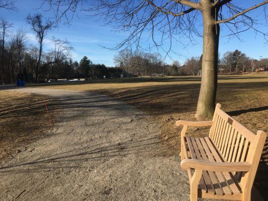 wellesley-xc-bench