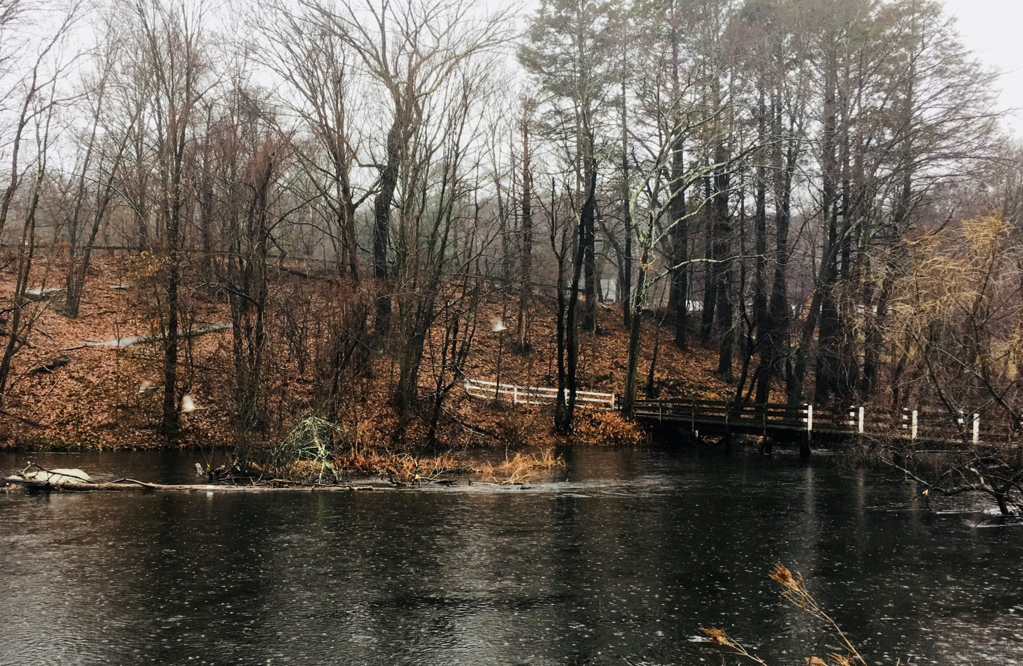 A real low point for Wellesley County Rock The Swellesley Report