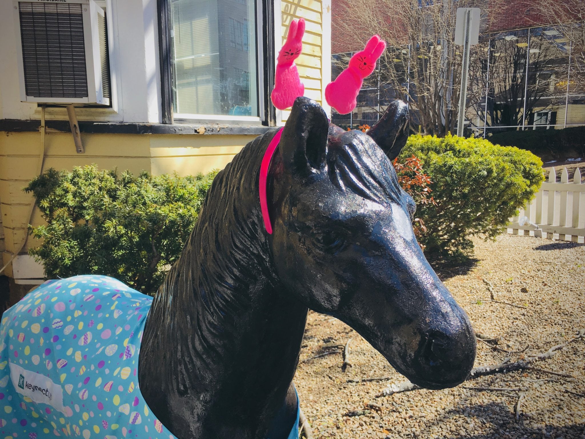 KeynectUp pony, Easter