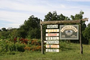 Land Sakes, Wellesley Rotary Club