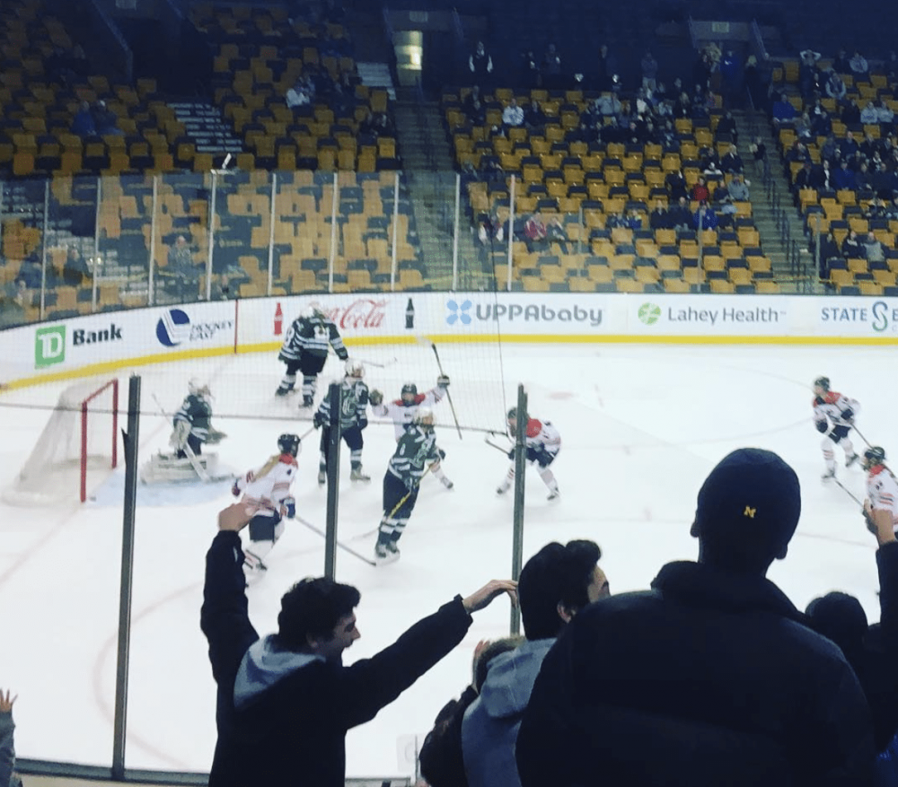 Wellesley High girls hockey title game
