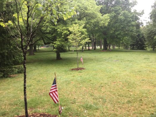 memorial grove wellesley