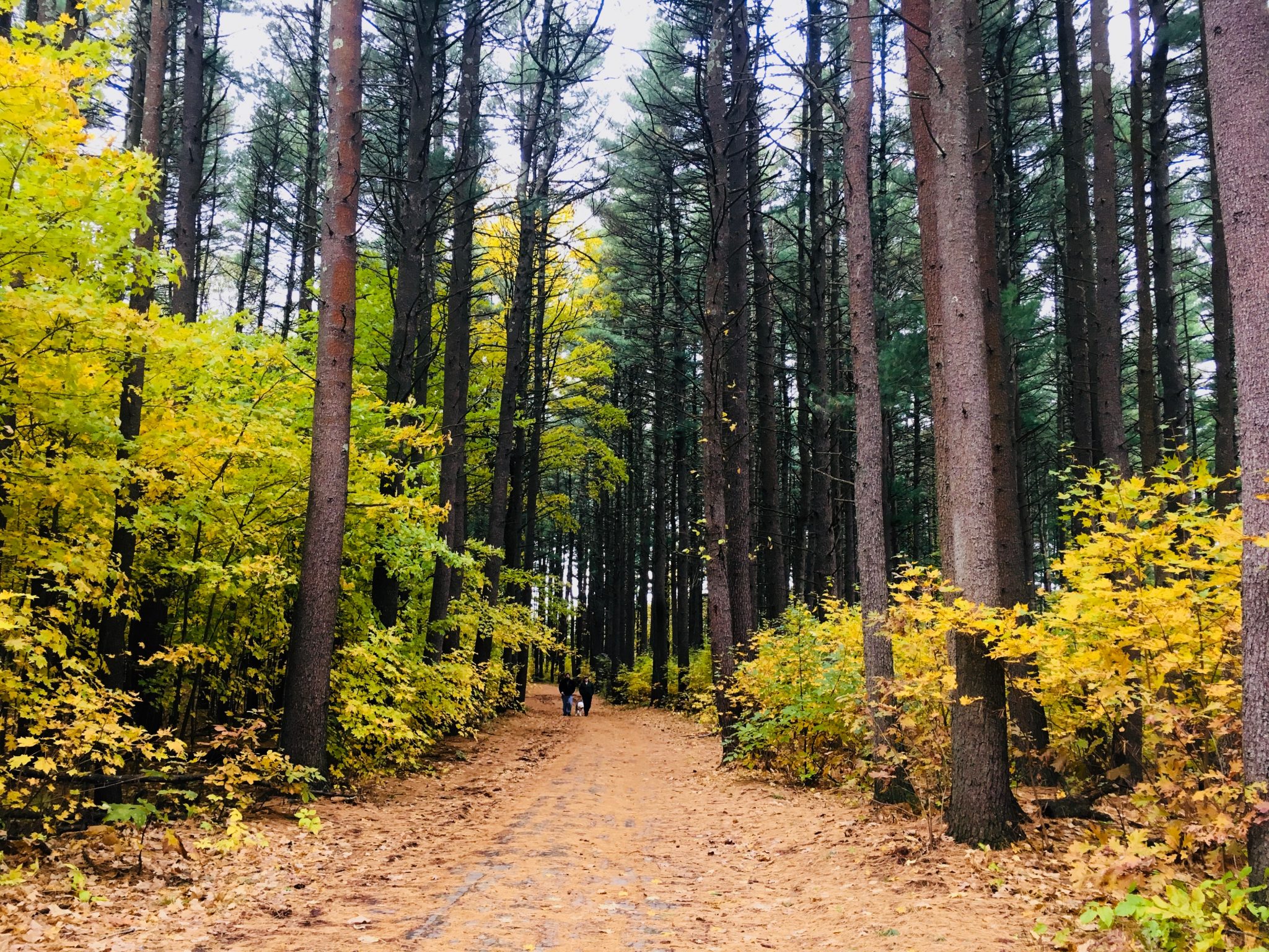 Gates Pond, Berlin, Massachusetts