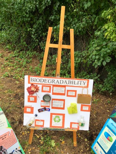 biodegradability wellesley 