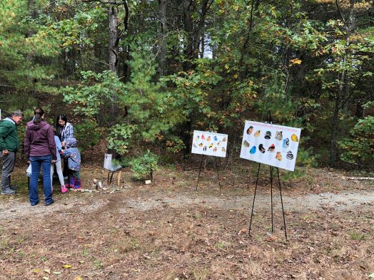 birds wellesley trails kids