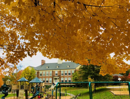 Wellesley Recreation Playground