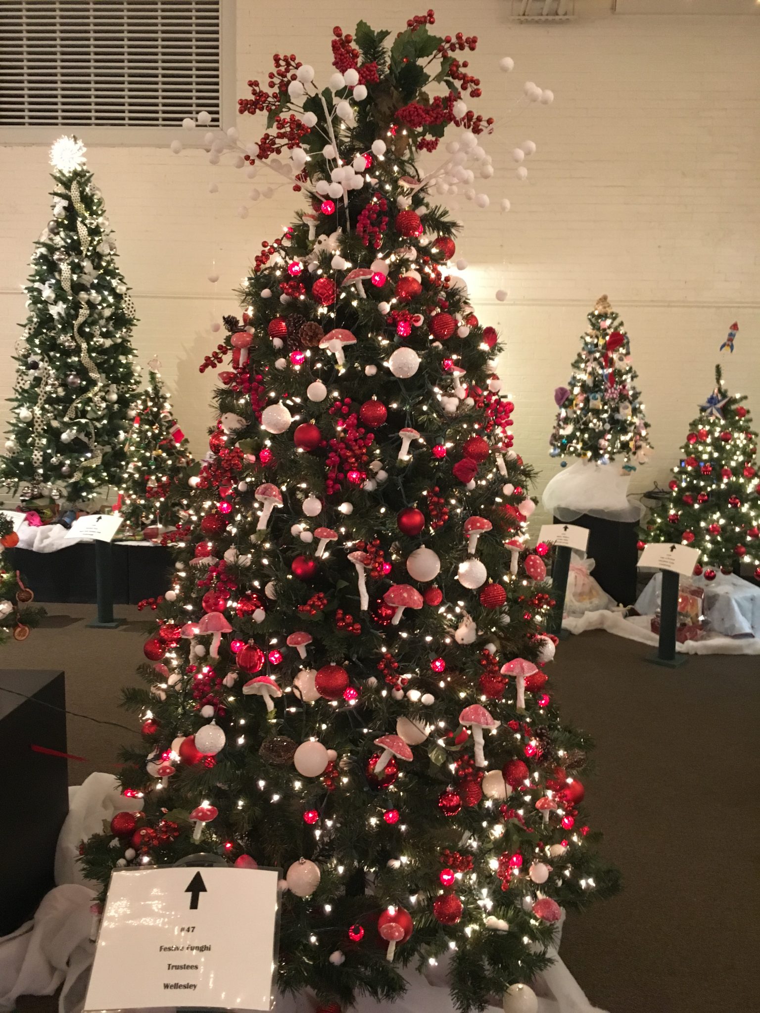 Festival of Trees, Wellesley