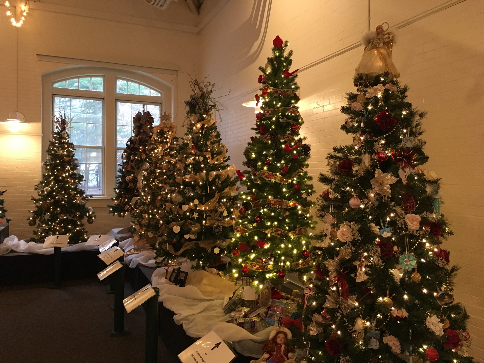 Festival of Trees, Wellesley