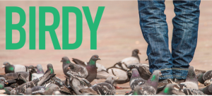 Birdy, Babson, Wellesley