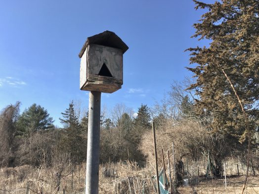 Wellesley North 40, Spring