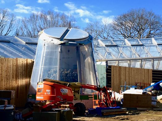 Wellesley College, greenhouses