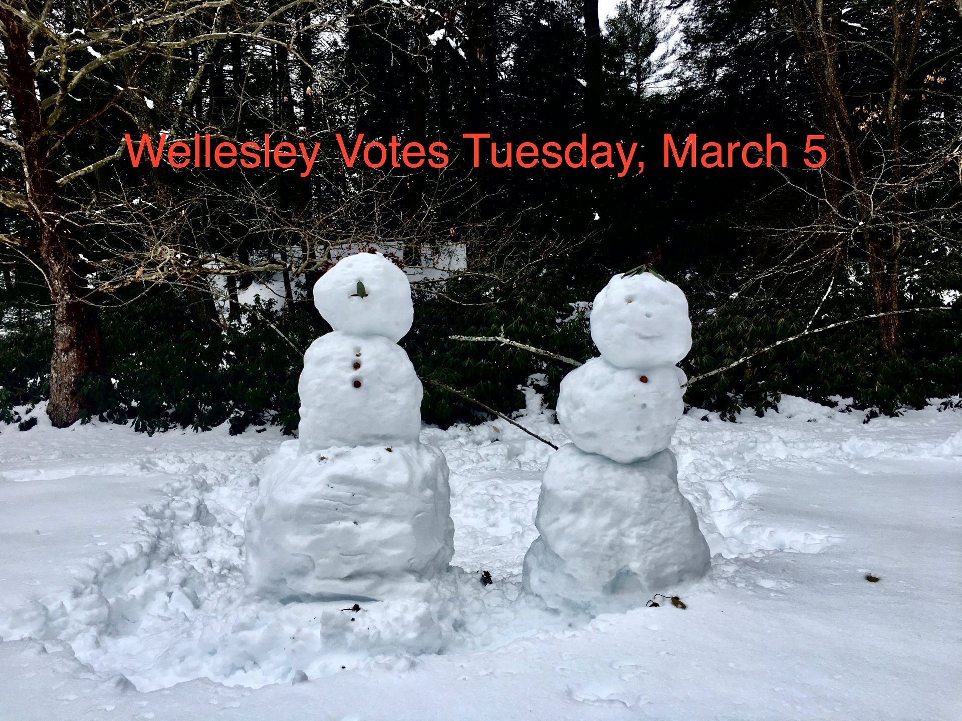 Wellesley votes