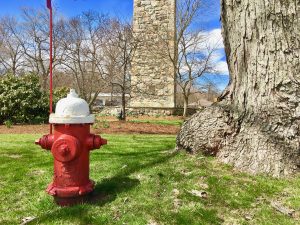 Wellesley fire hydrant