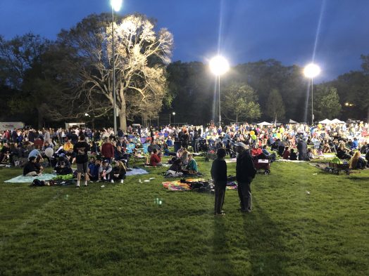 the fireworks crowd