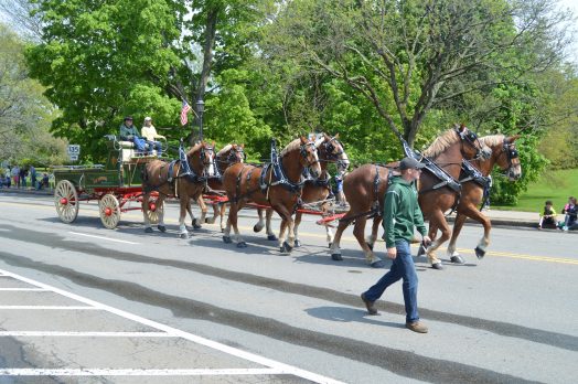 wellesley parade 19