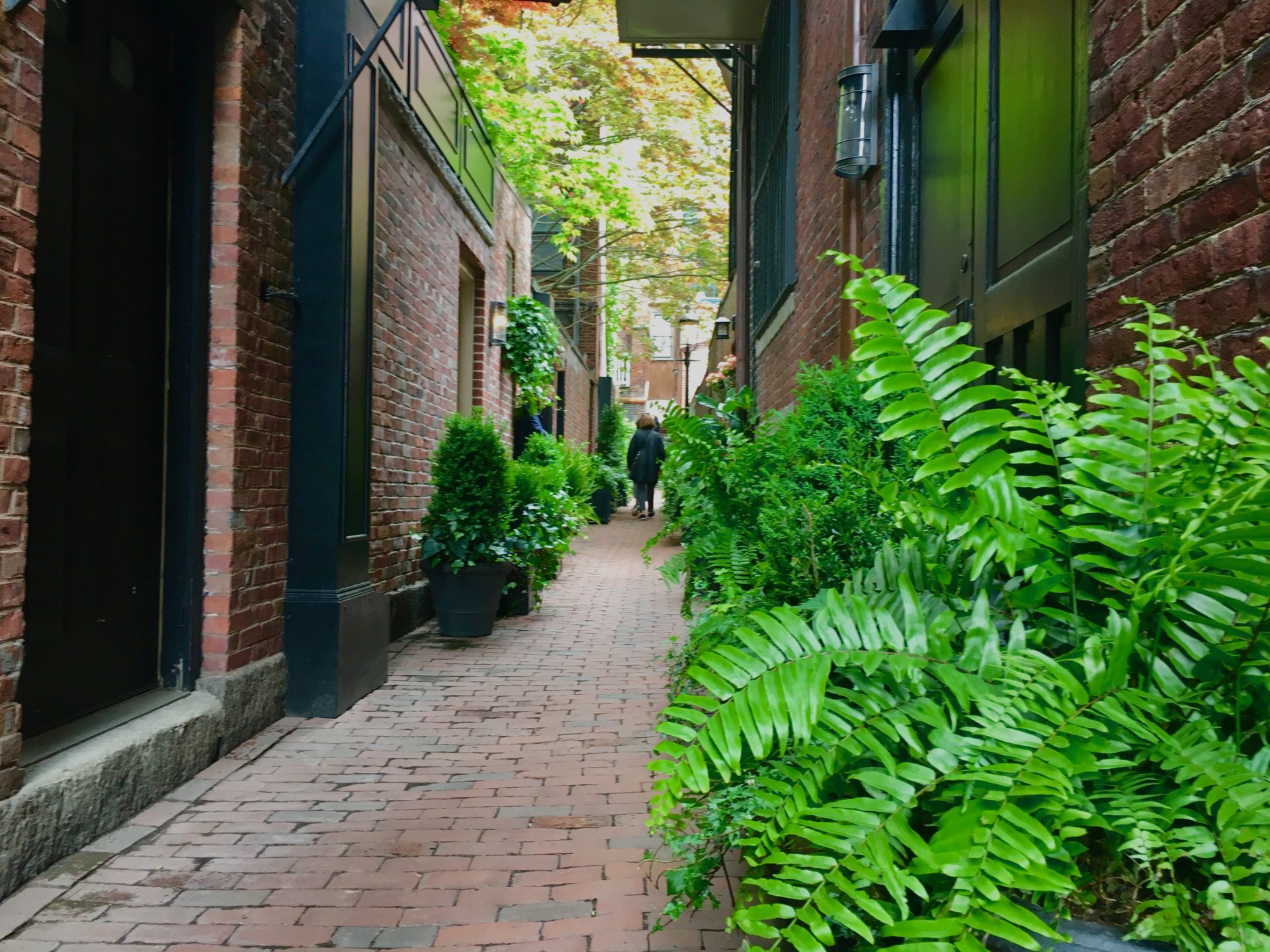 Beacon Hill Garden Tour