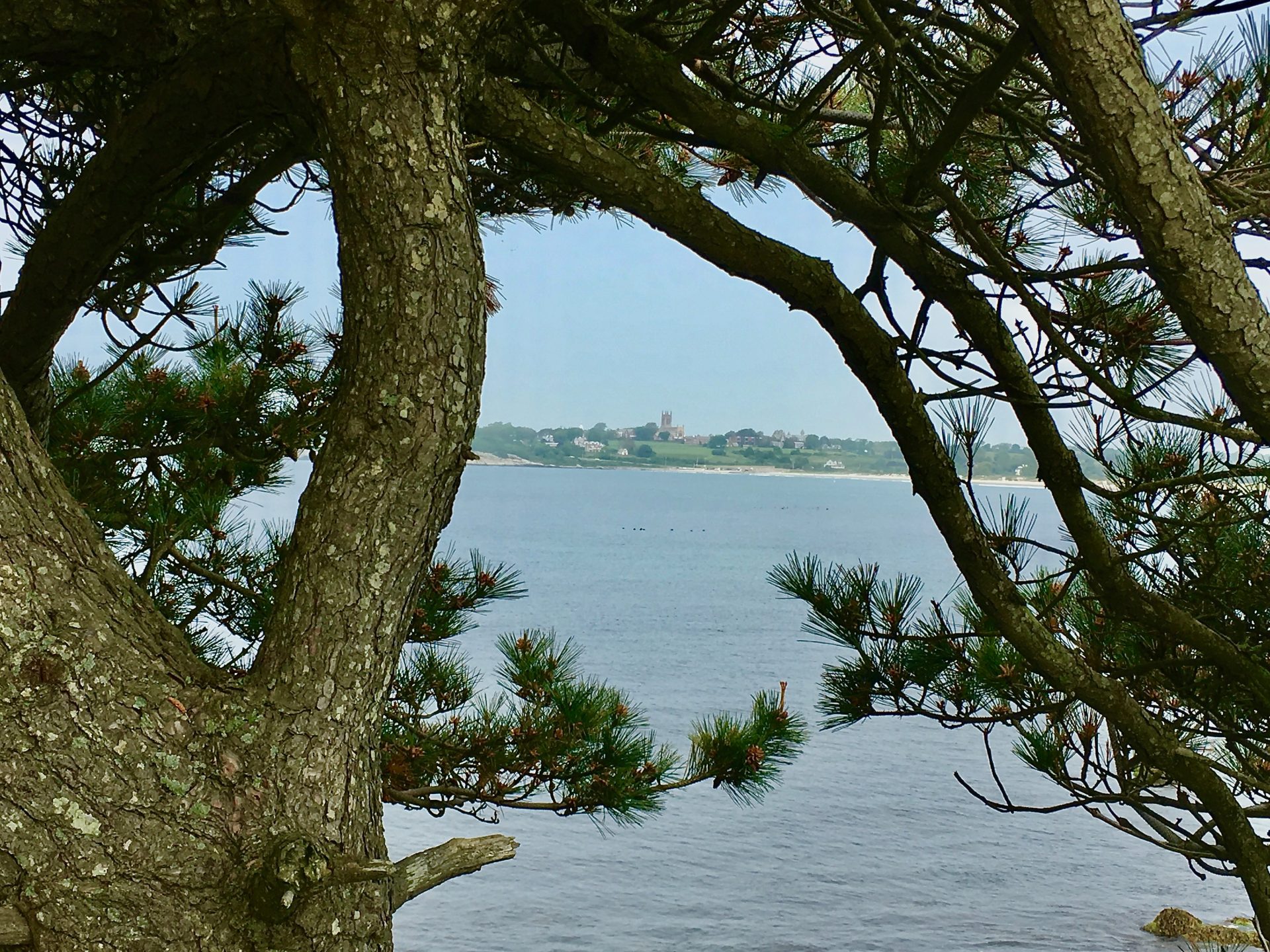 Sachuest point national wildlife refuge