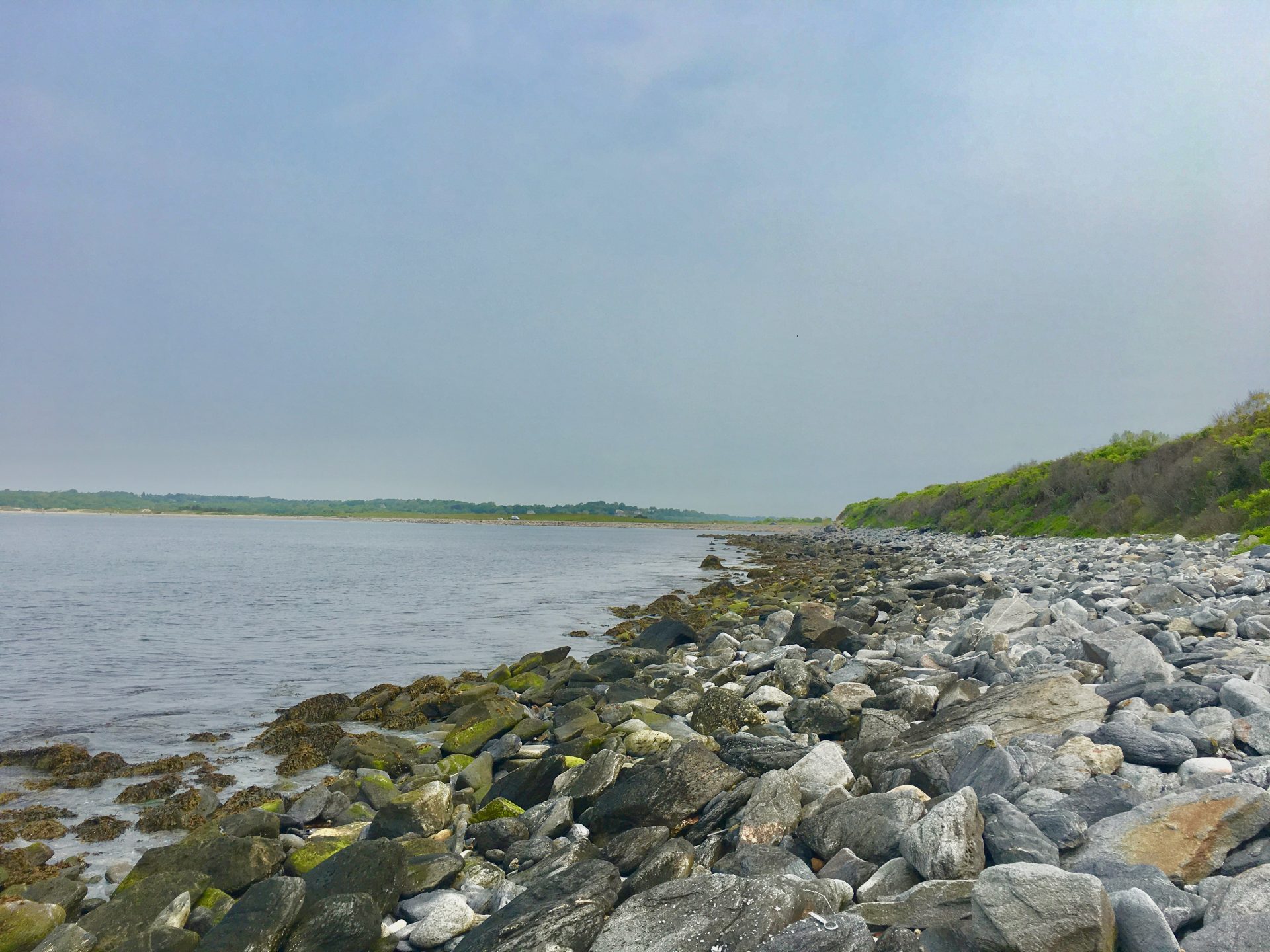 Sachuest point national wildlife refuge