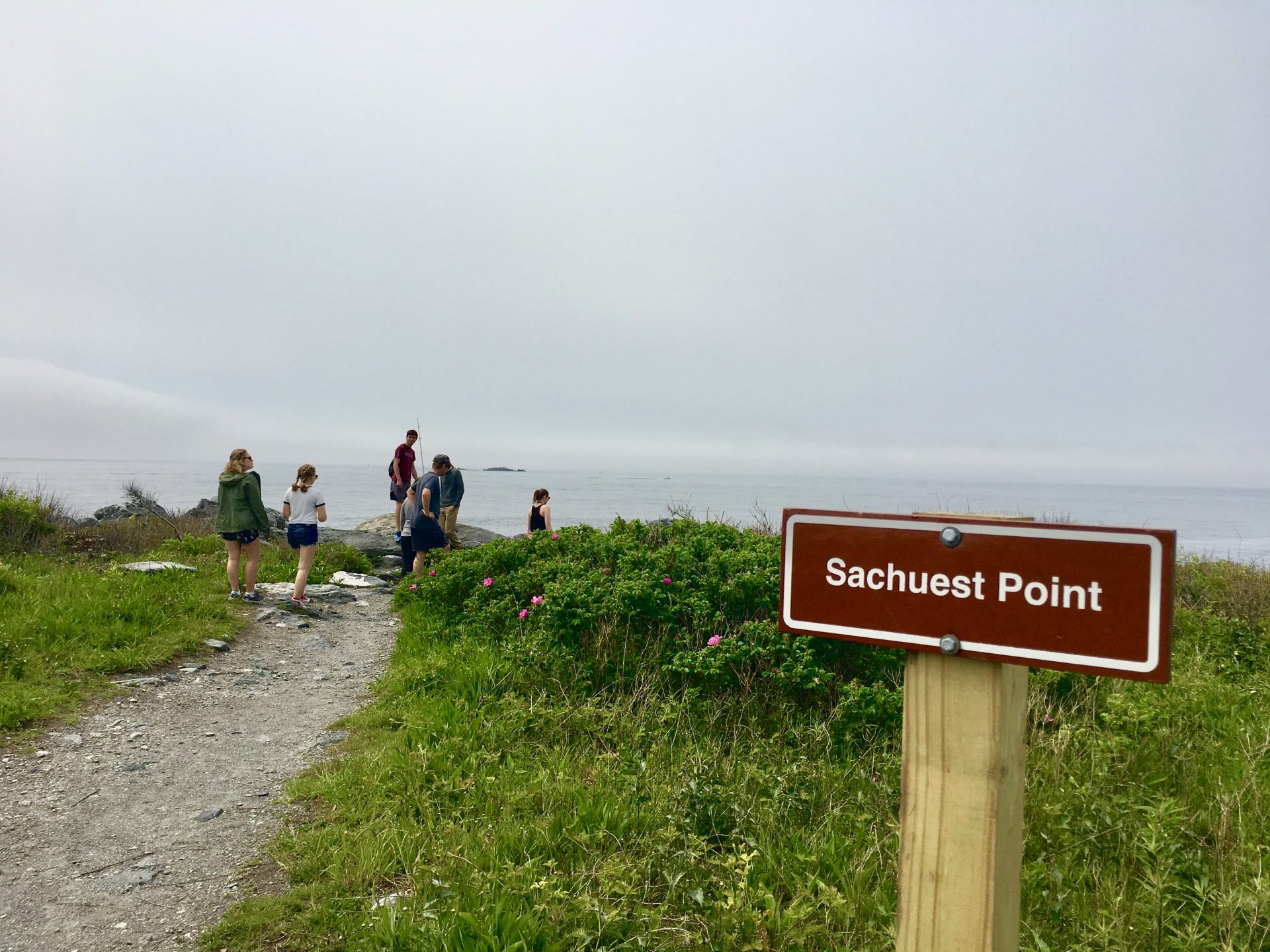 Sachuest point national wildlife refuge