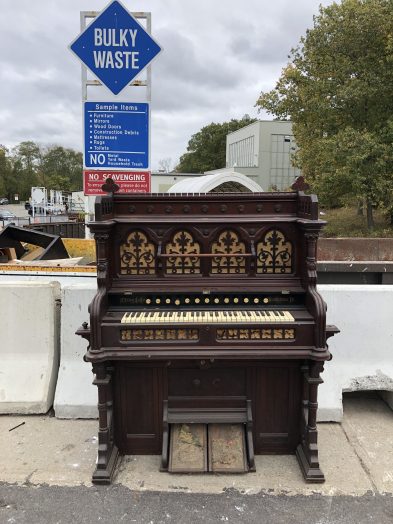 organ wellesley