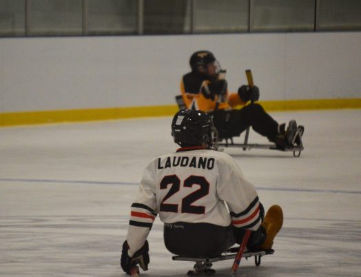 sled hockey wellesley