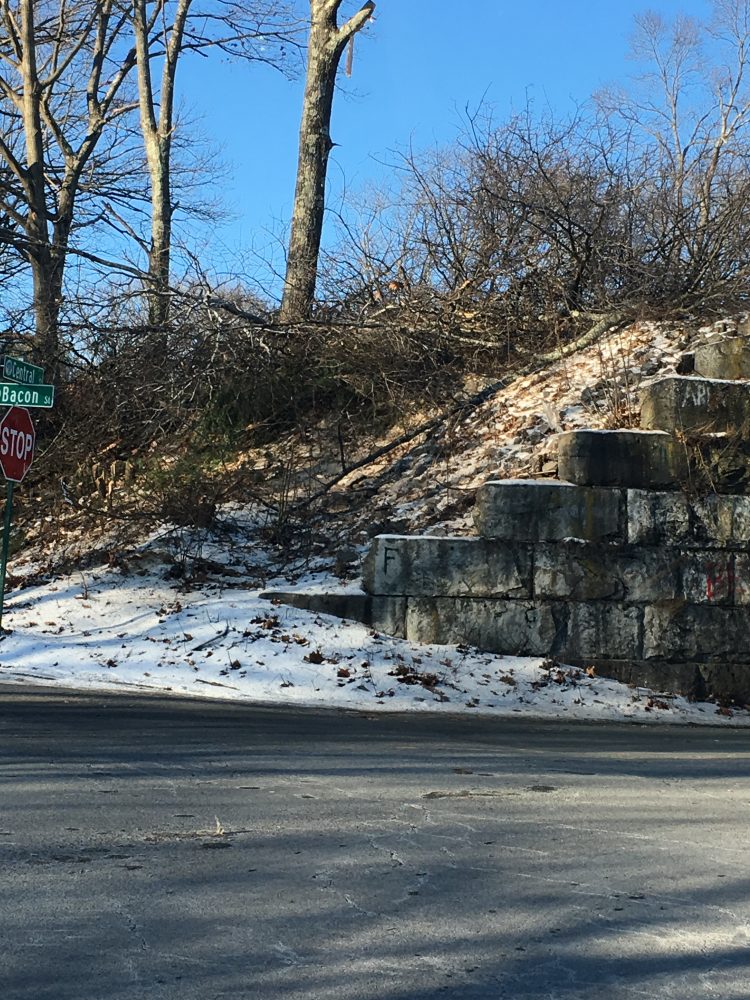 MBTA trees removal, Wellesley tracks