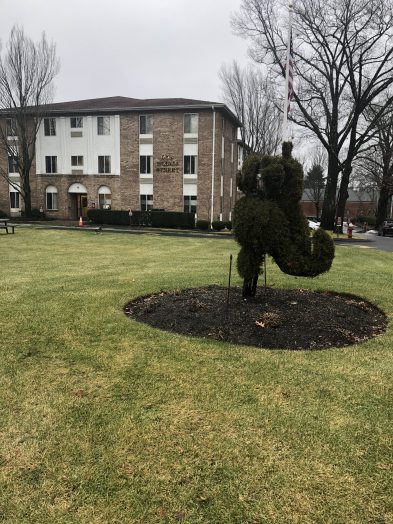 topiary linden st wellesley