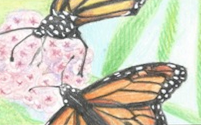 monarchs painting