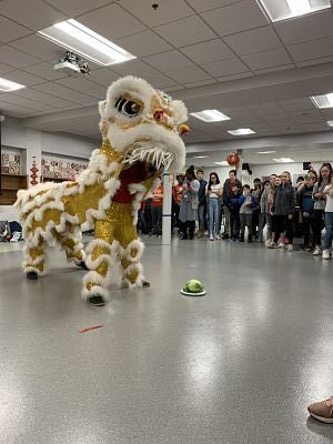 chinese new year wellesley