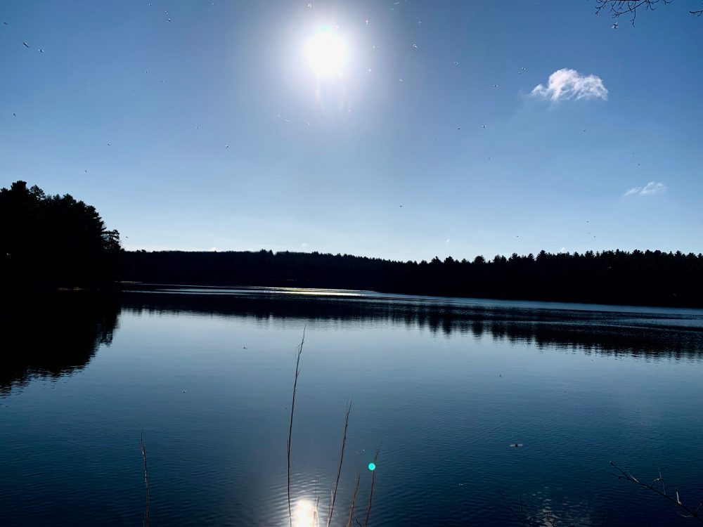 pic 6 Walden Pond, Concord