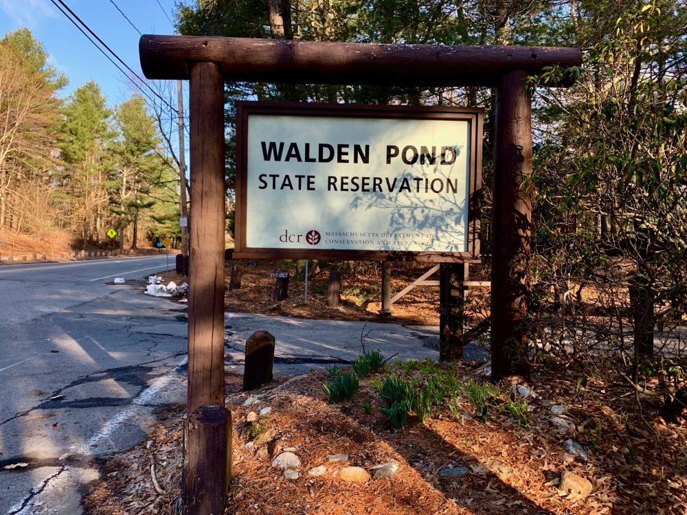 Walden Pond, Concord