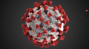 coronavirus image