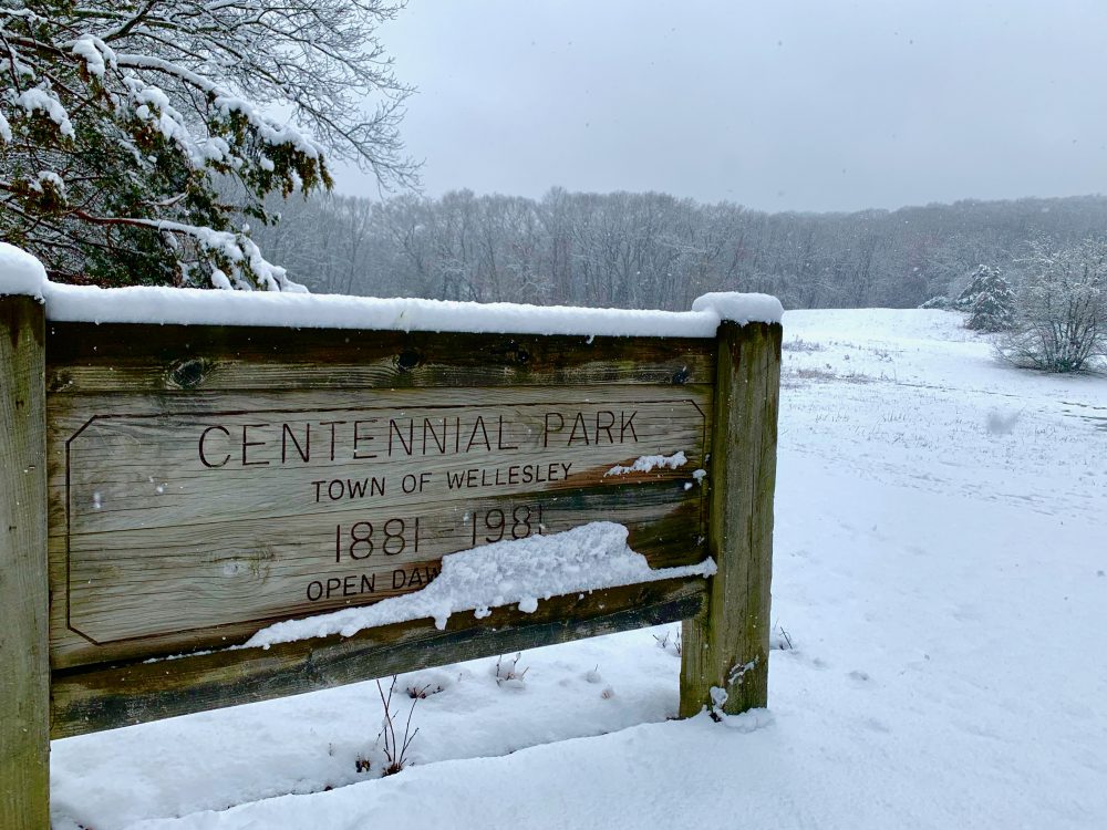 Centennial Park, Wellesley, snowy day