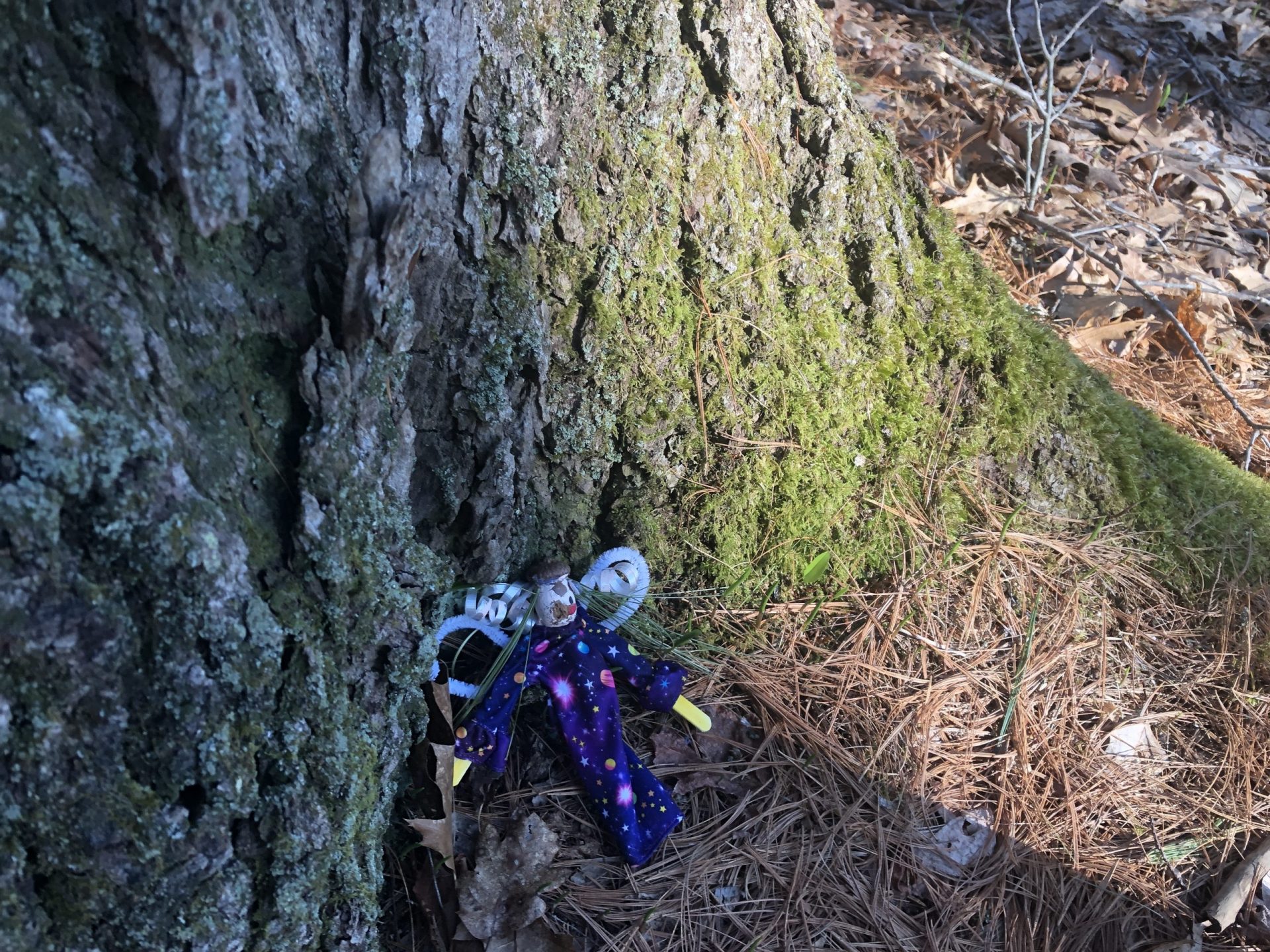 Fairyland Natick
