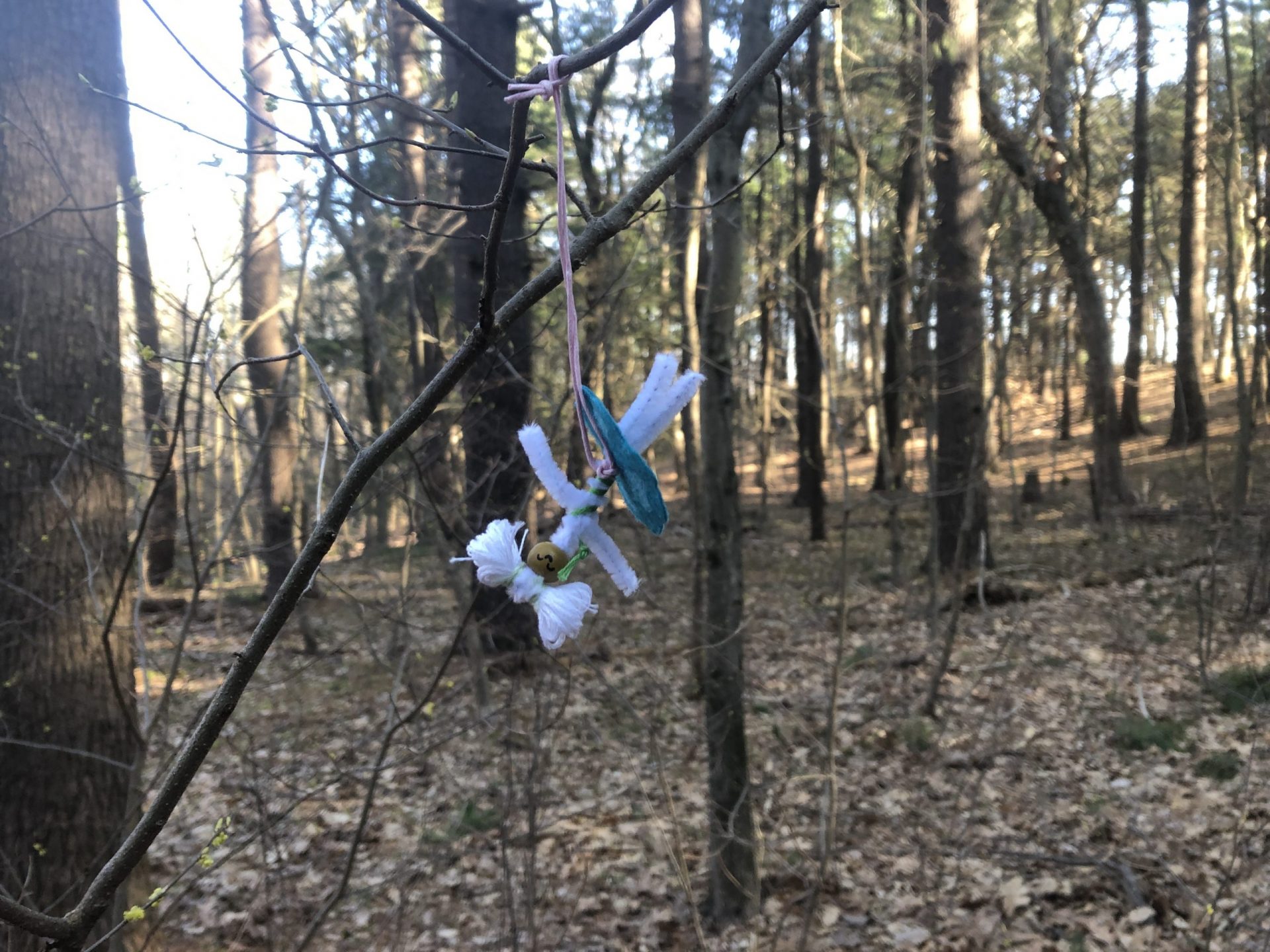 Fairyland Natick