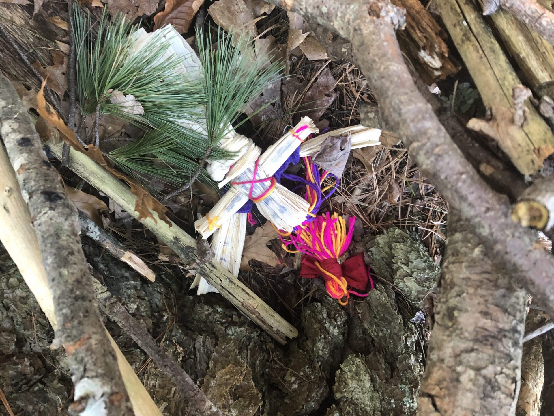 Fairyland Natick