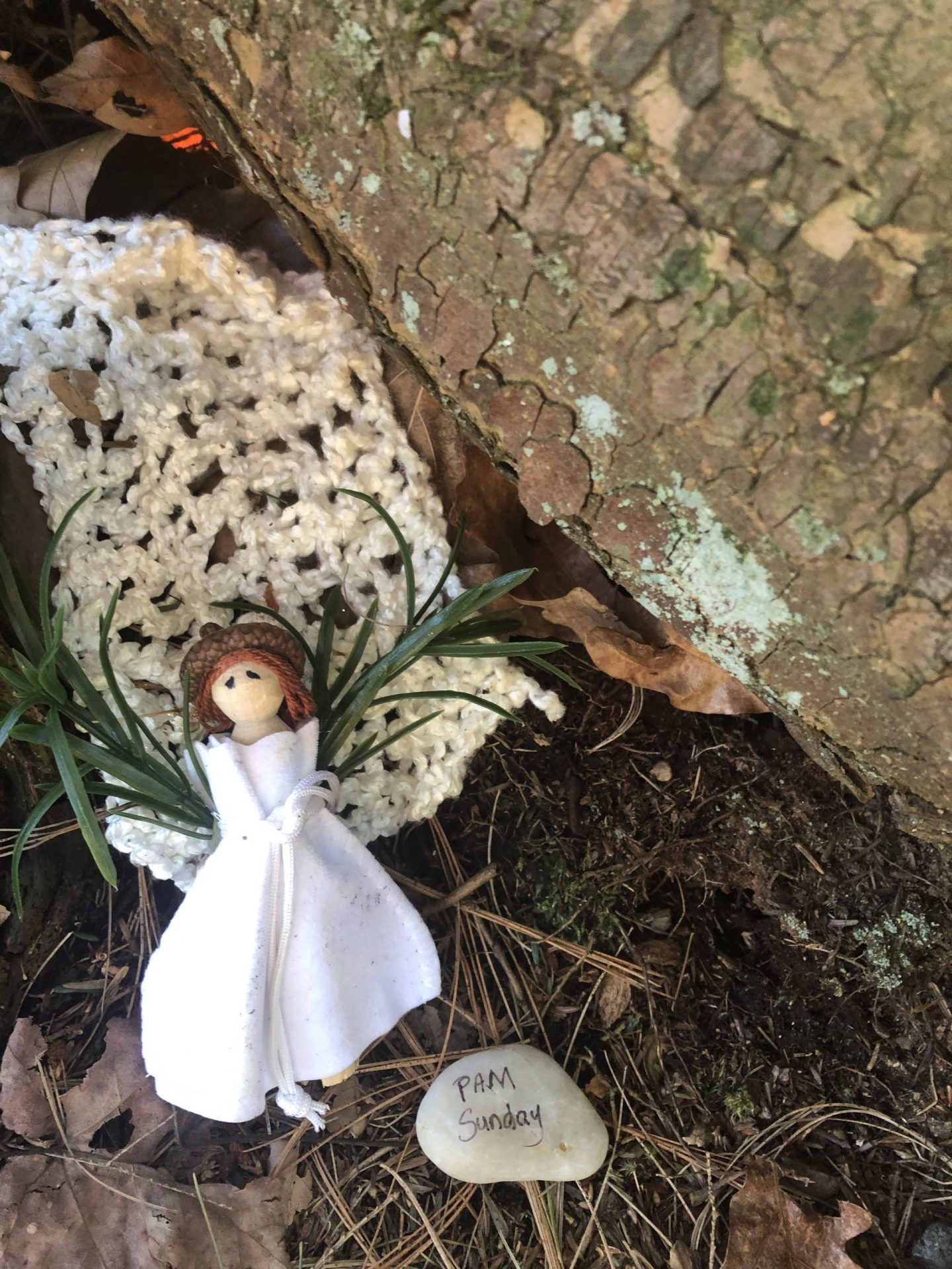 Fairyland Natick