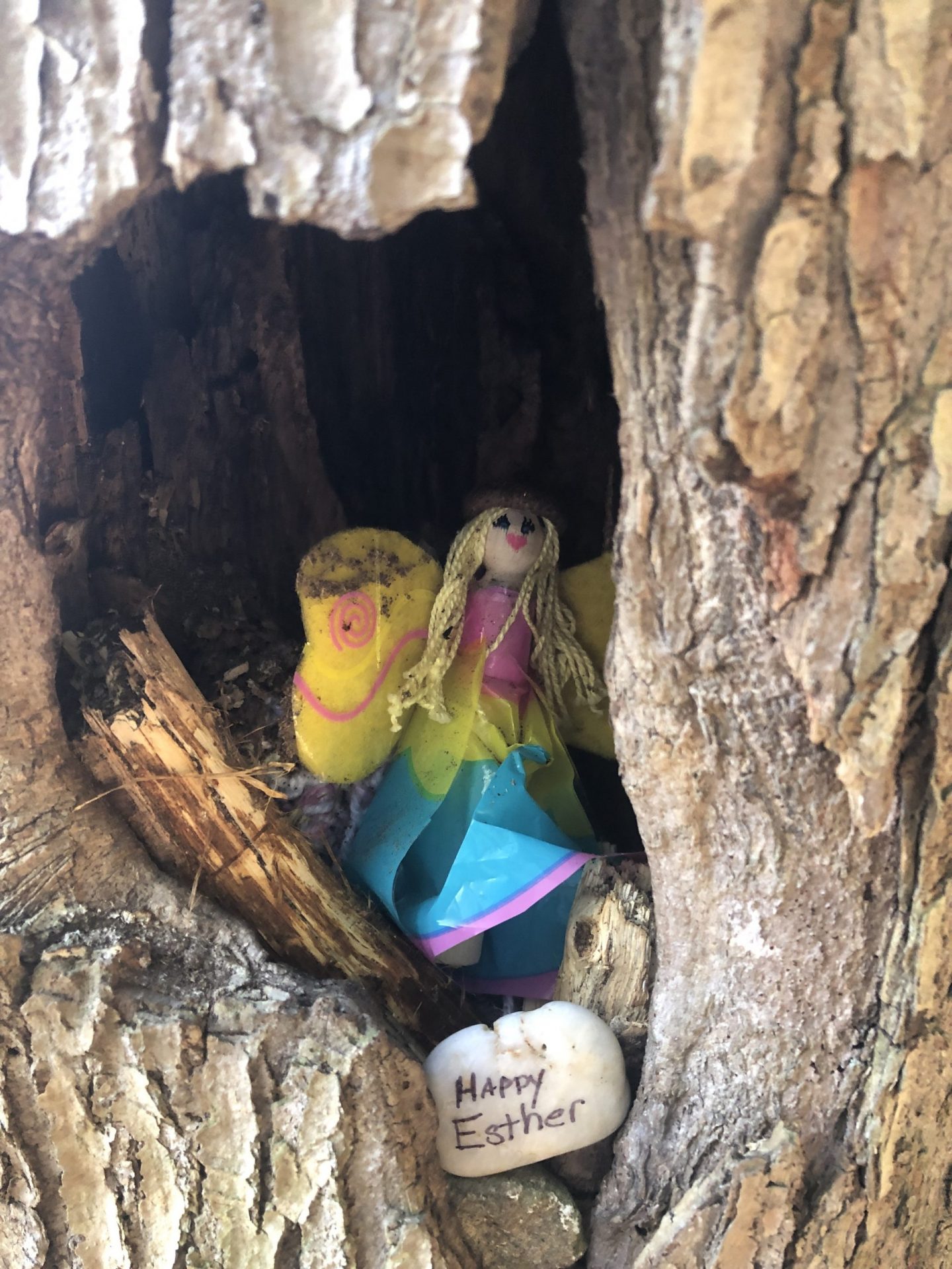 Fairyland Natick